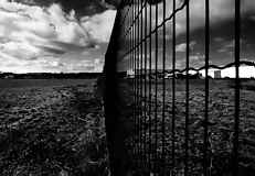 Vers l'exposition : Promenade